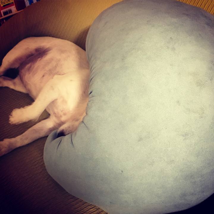 5db7f7e2 e38c 4e44 8679 466b80fcbe20