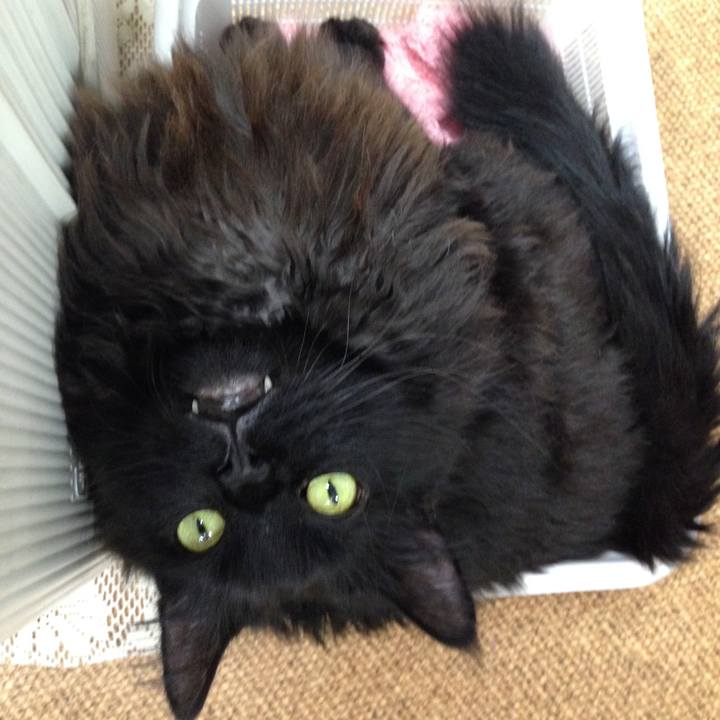 5db8679a 031f 4d84 88ac 495d010894b8