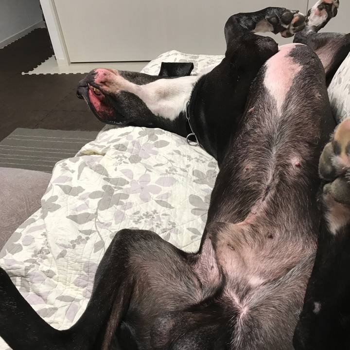 5db92de4 4656 409c adc0 678802983113