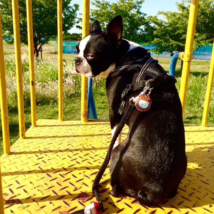 5db9609a 572b 450e 928b 6adf926c7735