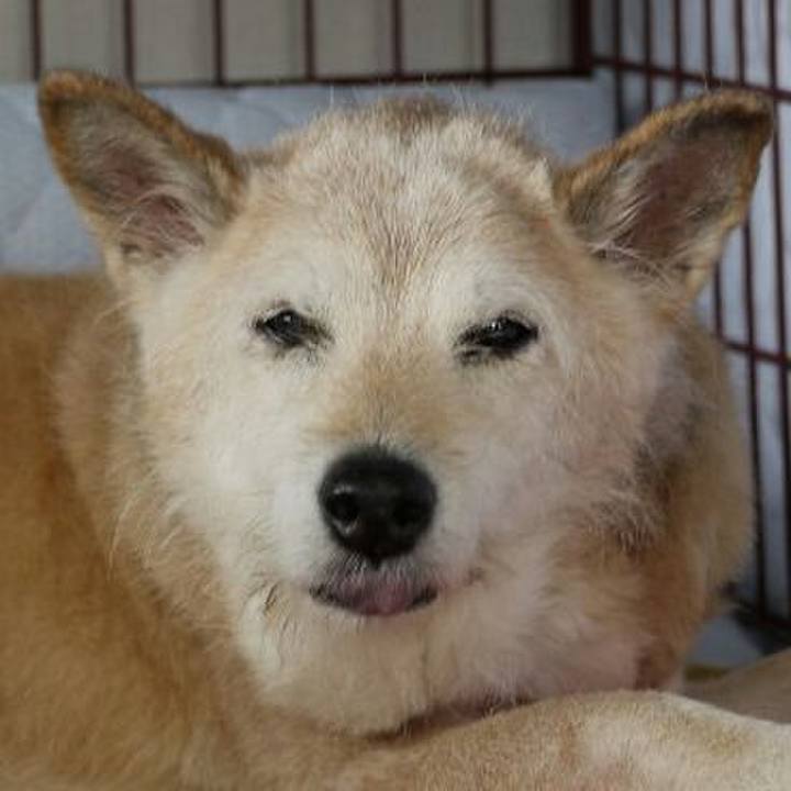 5dba238d 56d1 4c3d a6d9 a02d3c4c66f5