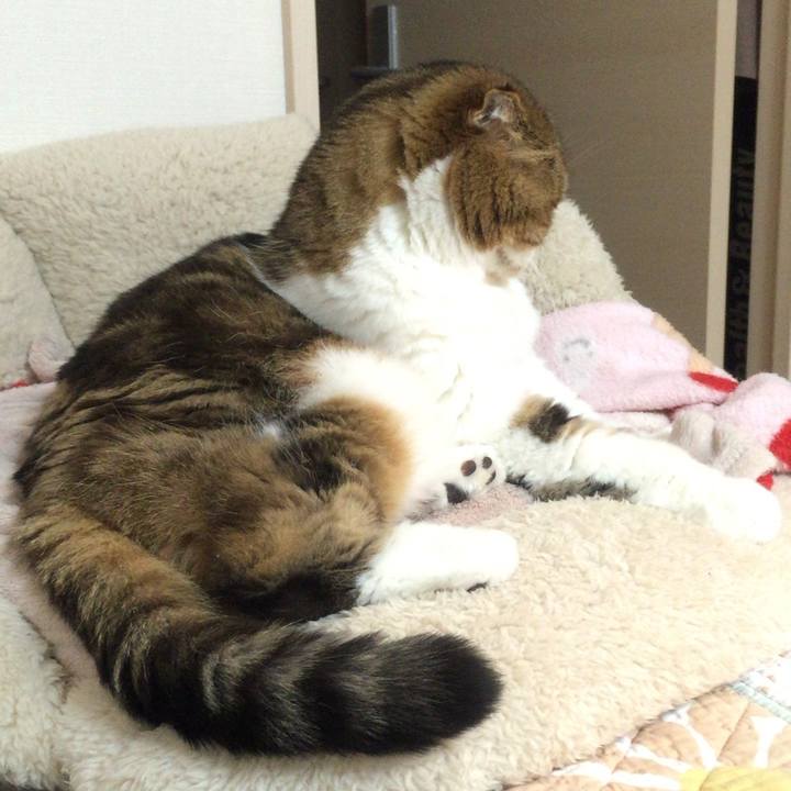 5dba4993 aaf8 4898 bfeb dfa490469336