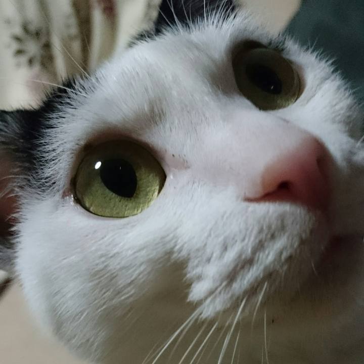 5dbaf3fe d5cf 4f54 b93b 455a41ecb990