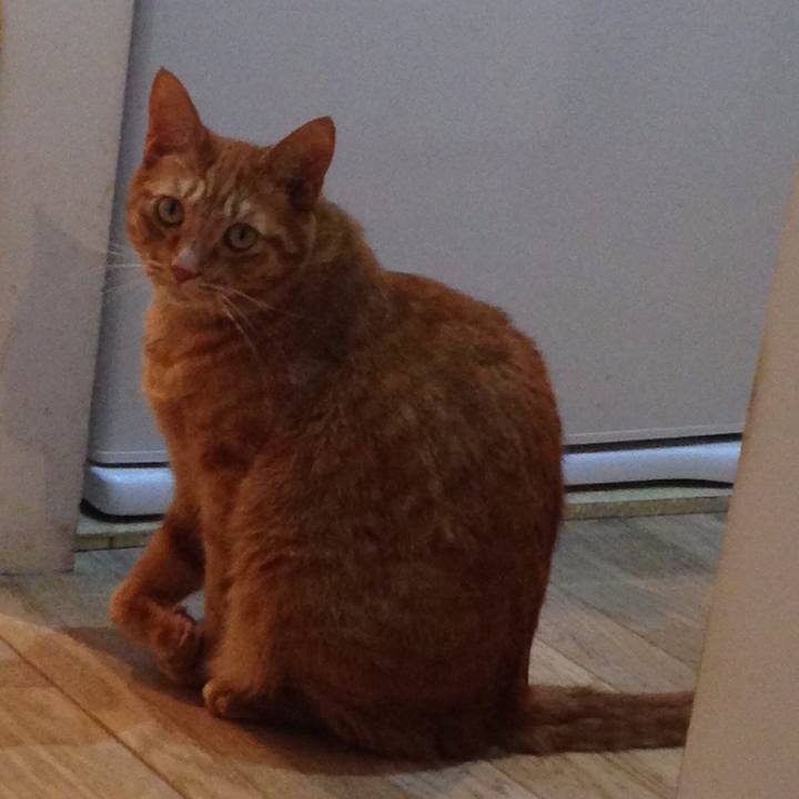 5dbb75a4 b28d 4891 95d8 030520362931