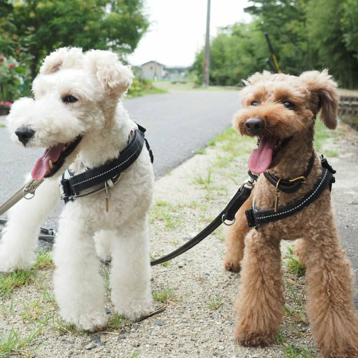 5dbb97f6 bd13 44ac 902e 87aa1cc3c6f3