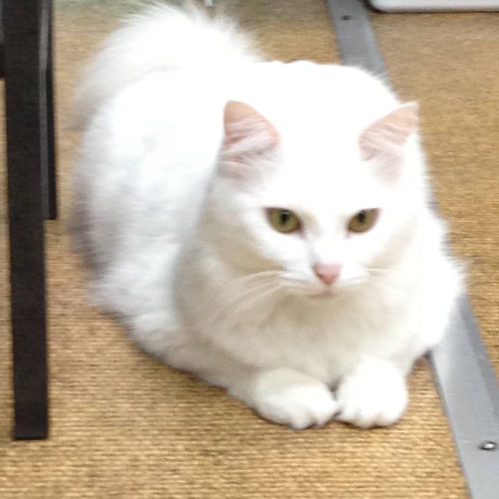 5dbbfd6e 3753 4e52 86ce 532162686c0d