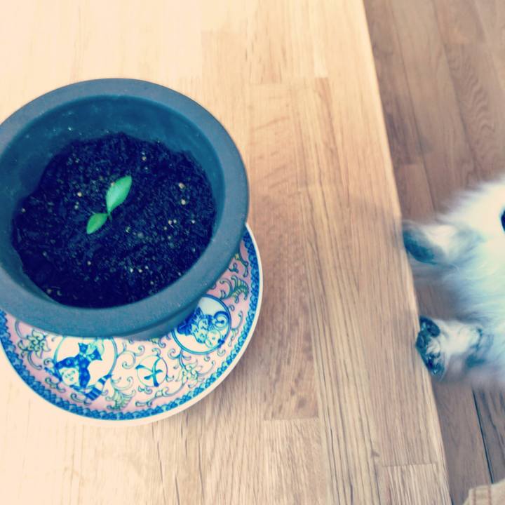 5dbc2fc9 214d 451b 9672 e60c68d750e2