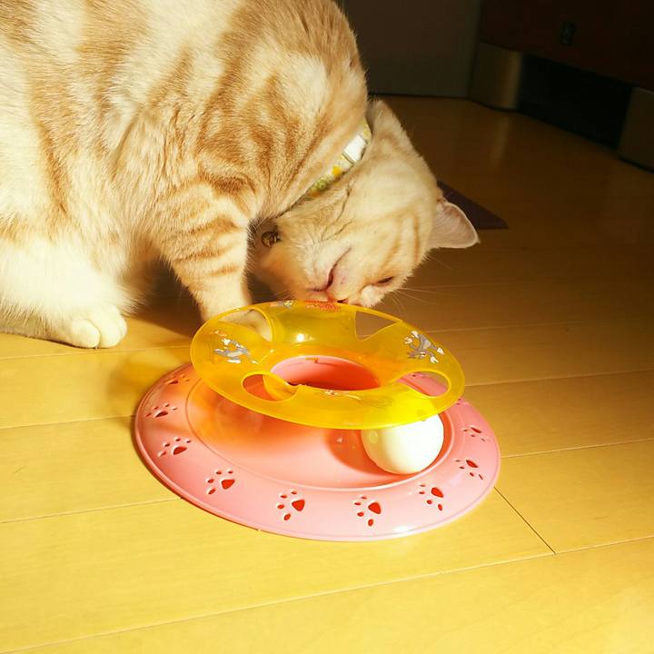 5dbc67e0 e8b0 4cae 8099 a5661fe41e8d