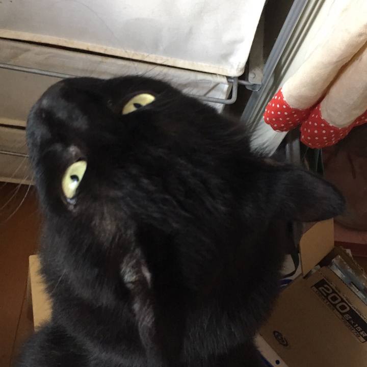 5dbef5d4 be09 4e97 8e1b f06b53504eaa