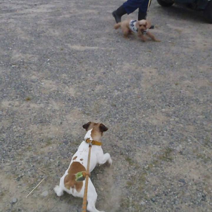 5dbf0b3e baf2 4a27 94f1 e3ecade02468