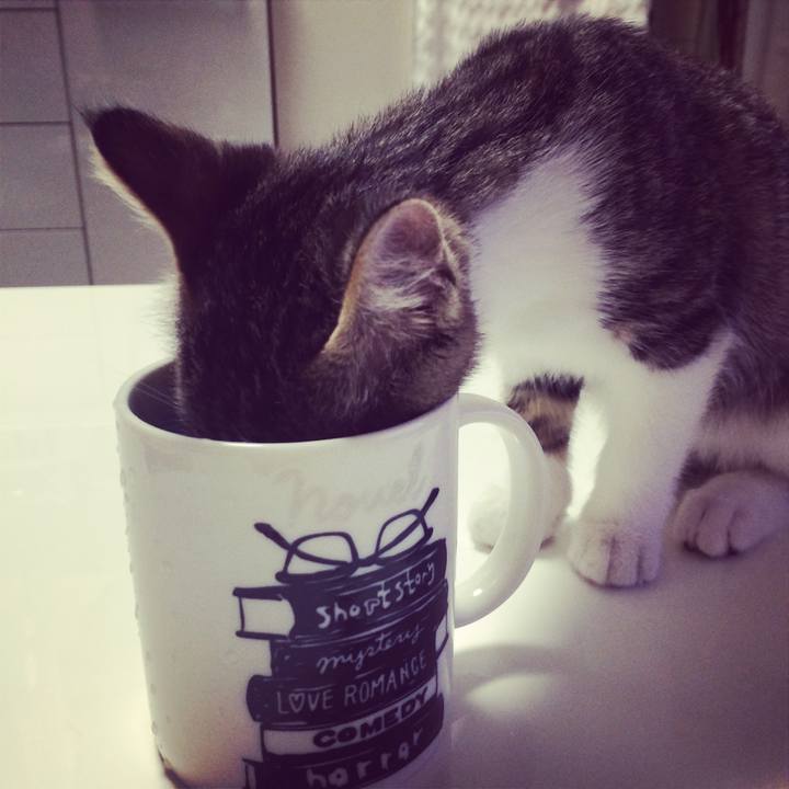 5dbf8e09 b15d 4931 be7e 9a9ca237513d