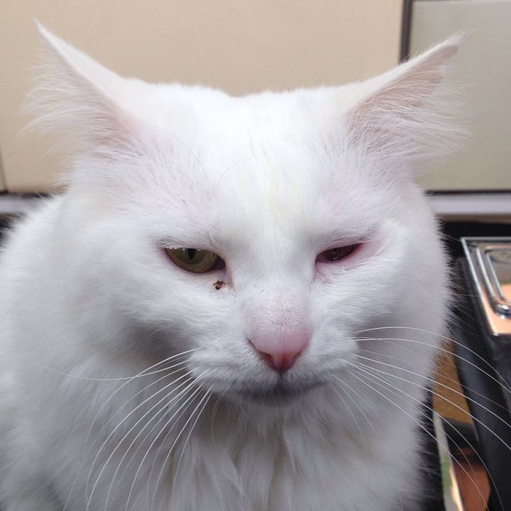 5dbfb5e4 f31a 4aa6 9dd0 197b84f3b1d8