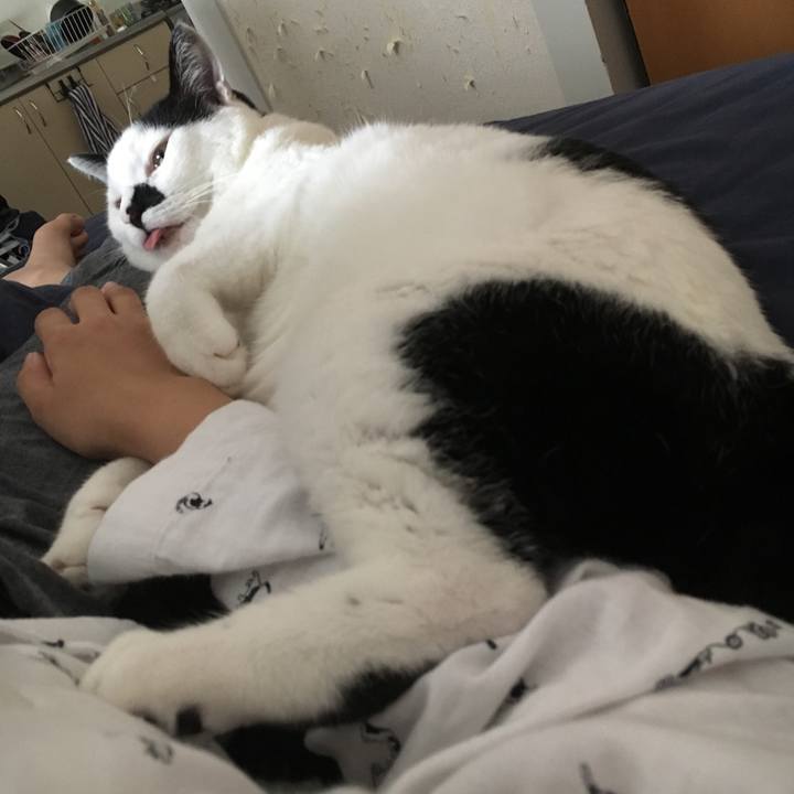 5dc04659 357a 448c b7c2 bd41404e04a4