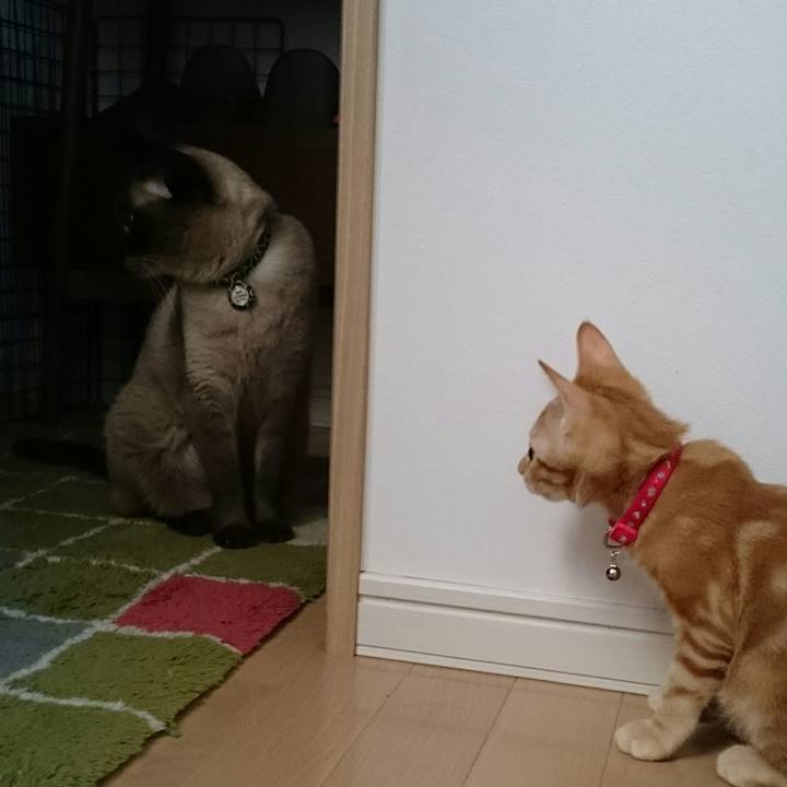 5dc0aff2 e513 4ed2 86df b2ce976558f7