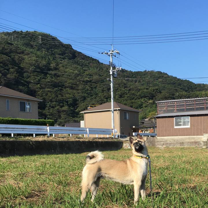 5dc0d958 2094 4d07 91f4 faa302d65729