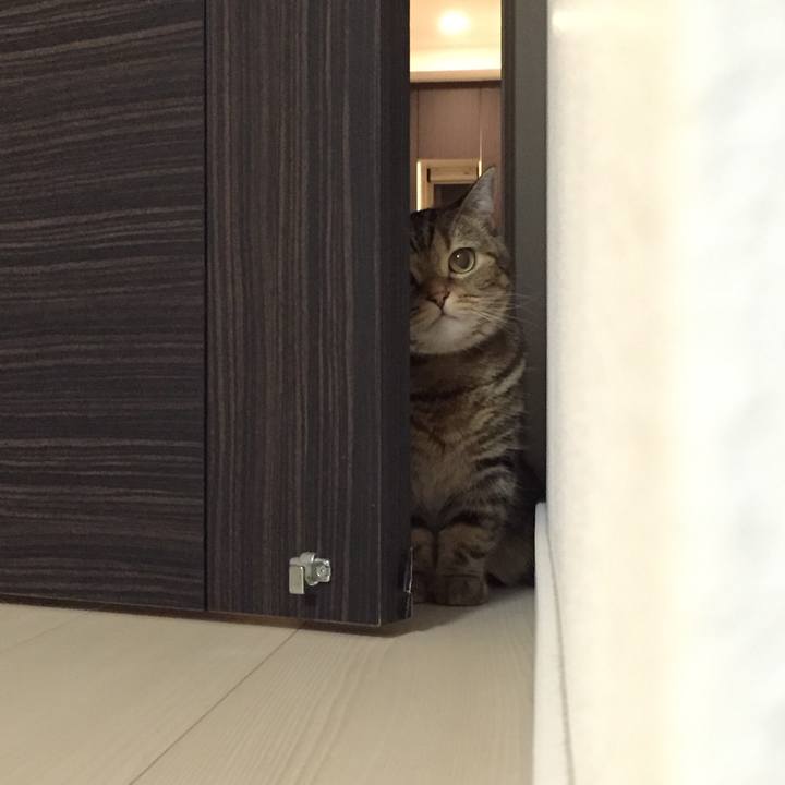 5dc10689 c634 4ef1 a3db c90aec198f23