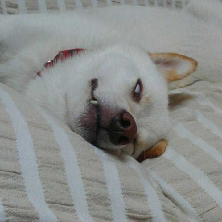 5dc10b1c ac1e 4b87 b217 4403f647642b