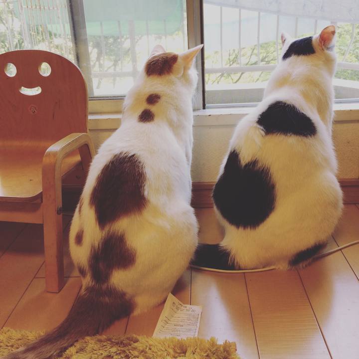 5dc121ba ba30 4ff9 8e75 14499ff82b59