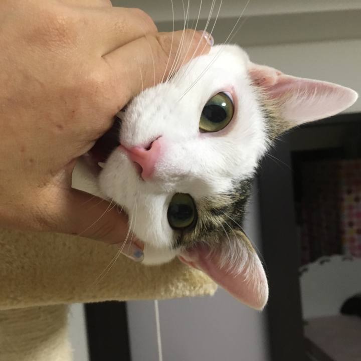 5dc1d257 58fb 4fdb 9c5a e8664d506575