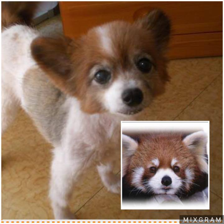 5dc1e7de 442d 40eb aa6b db8330d6519f