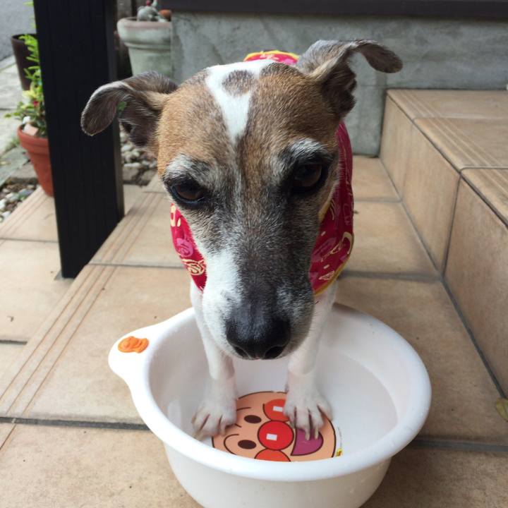 5dc28502 e463 4ee2 a37b eca5ae78adda