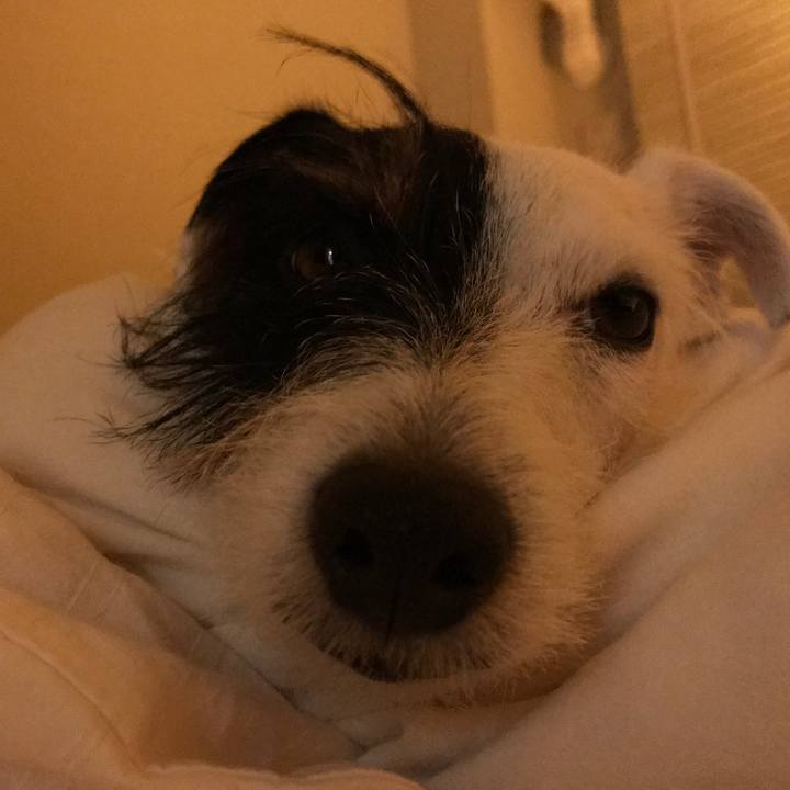 5dc29da2 a844 4014 99d1 d0469a450806