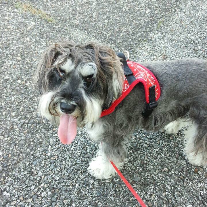 5dc2e39e 9f6a 4bf2 8c06 26e70b9ce1ff