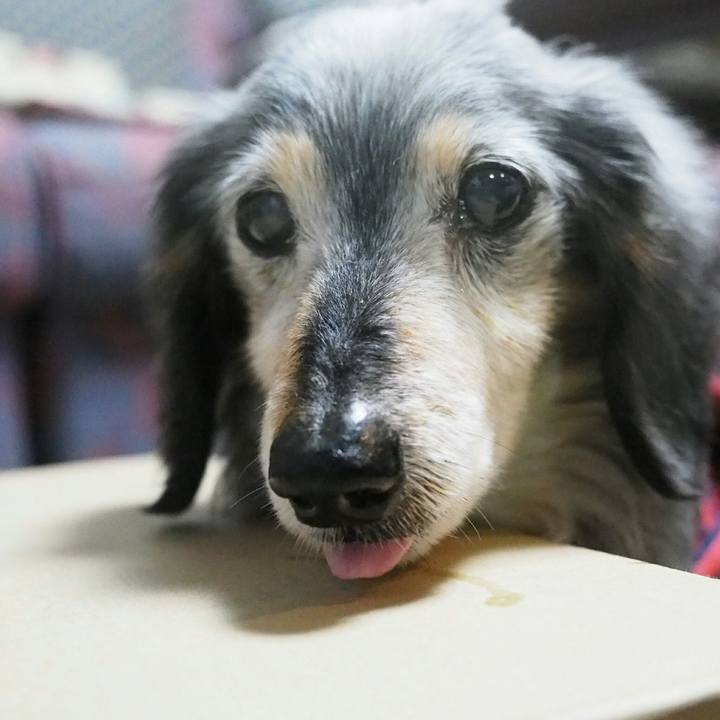 5dc31f1e 0a29 4542 b11c 8fa3540cdc53