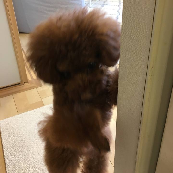 5dc36a25 ef40 4eb7 94d4 f5745f3a7b9d