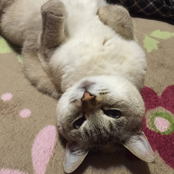 5dc41c00 5ff4 46c0 aa38 8a74af388160