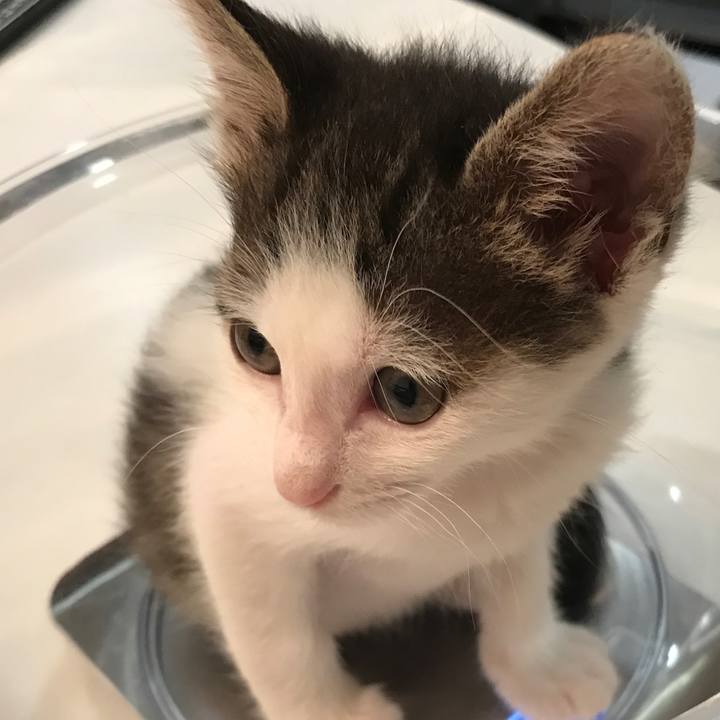 5dc4218e 10bd 44a5 9e9b 7e8c112ba43b