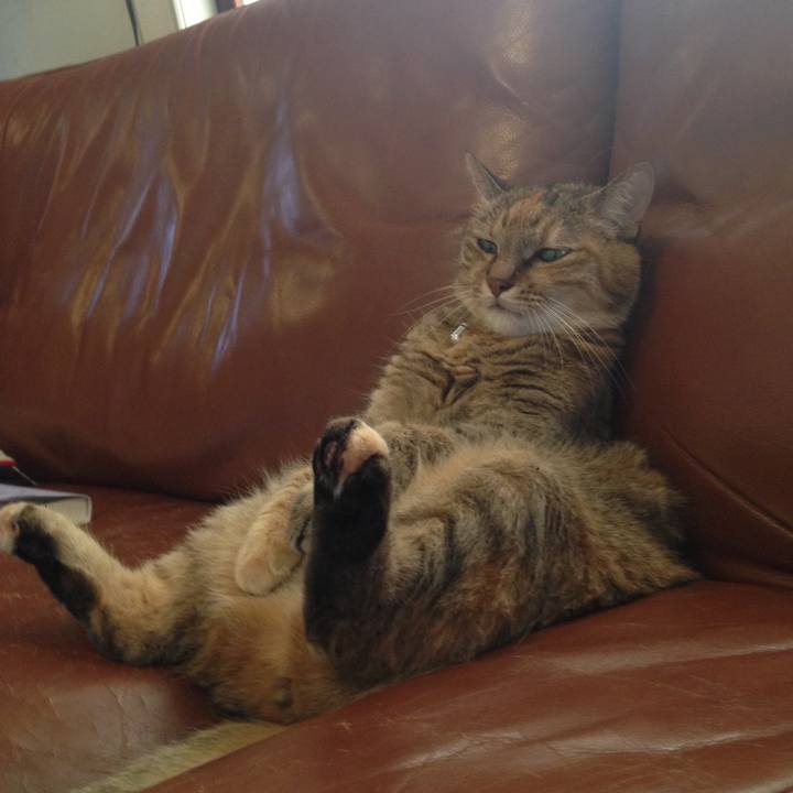 5dc49a91 1dff 4cd0 b1f0 340ea6905019