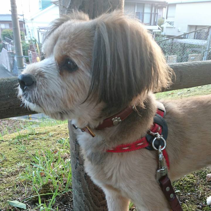 5dc4ef10 3a76 4c62 adbf 77ed0292f5f8