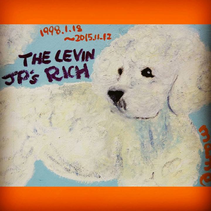 5dc51130 8d67 43dd b760 d7e37e5706eb