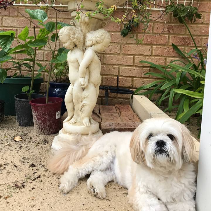 5dc53fbc d7a1 4935 8b2d 95e2f59606fe