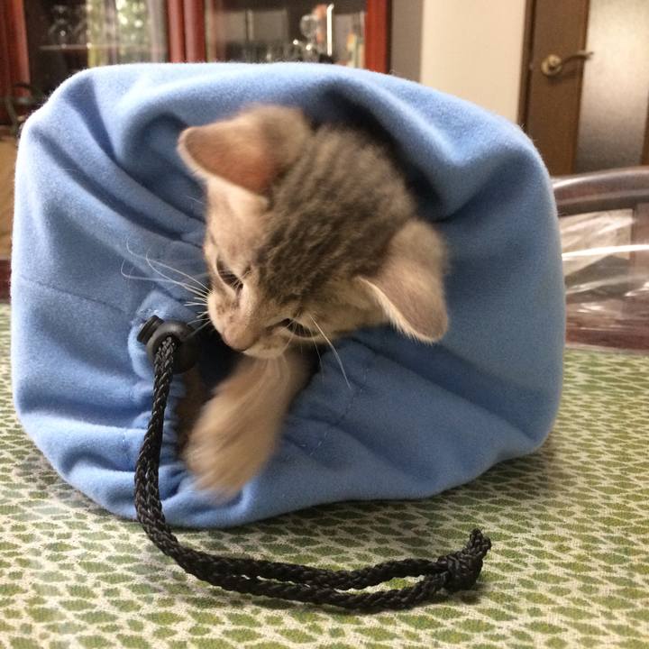 5dc56a06 36c8 4601 a070 b424c435d268