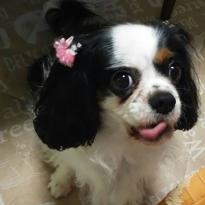 5dc597e0 0c12 4b41 966b ee68b9ca8ba5