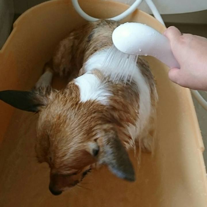 5dc6c1e7 0950 4cd1 bdcc 2f095f00e013