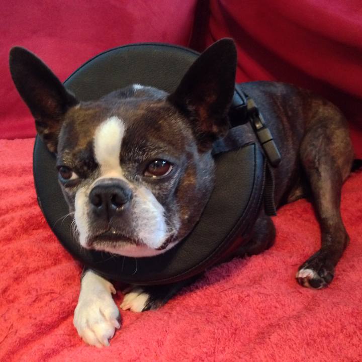 5dc74da2 1dae 40bb 9f33 78f410aafe21