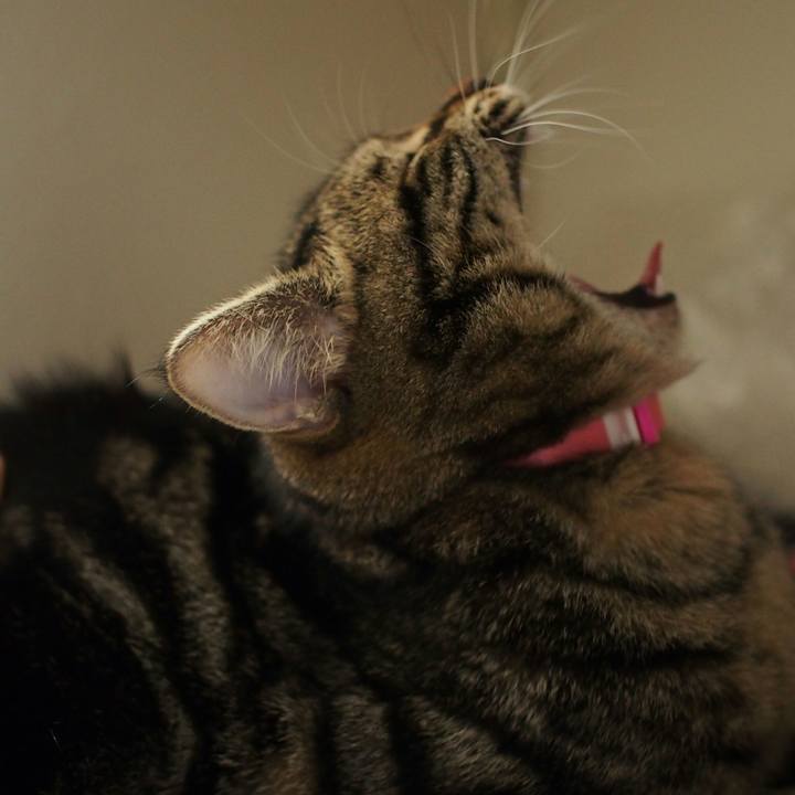 5dc74e08 5937 40d6 a243 005c172df4b1