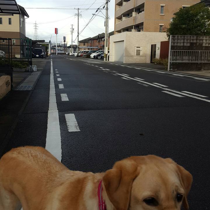 5dc7b3d0 e8ea 4077 ab7c d0b26df436da