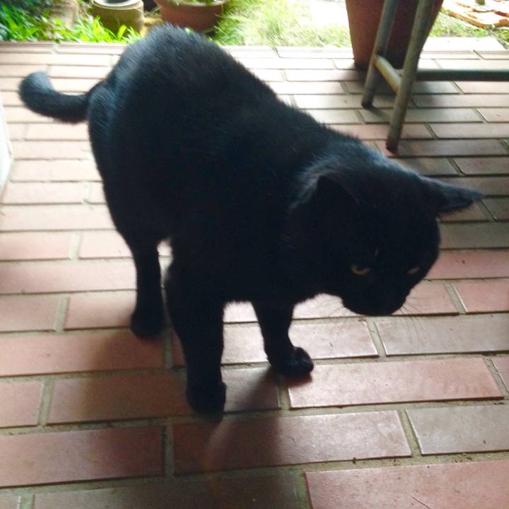 5dc7b3d5 e438 4bdc 90eb b27a5da05d5d