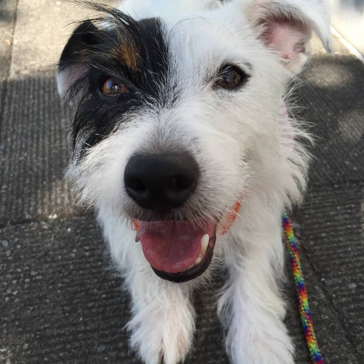 5dc846df a117 404d 98b8 81d68a33e7c7