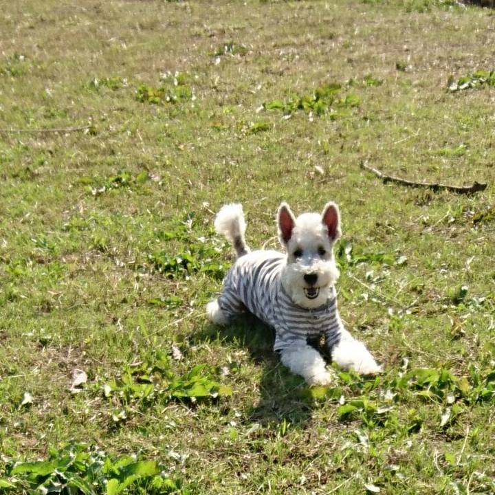 5dc8af64 7509 41c2 b089 77c37ffb0336