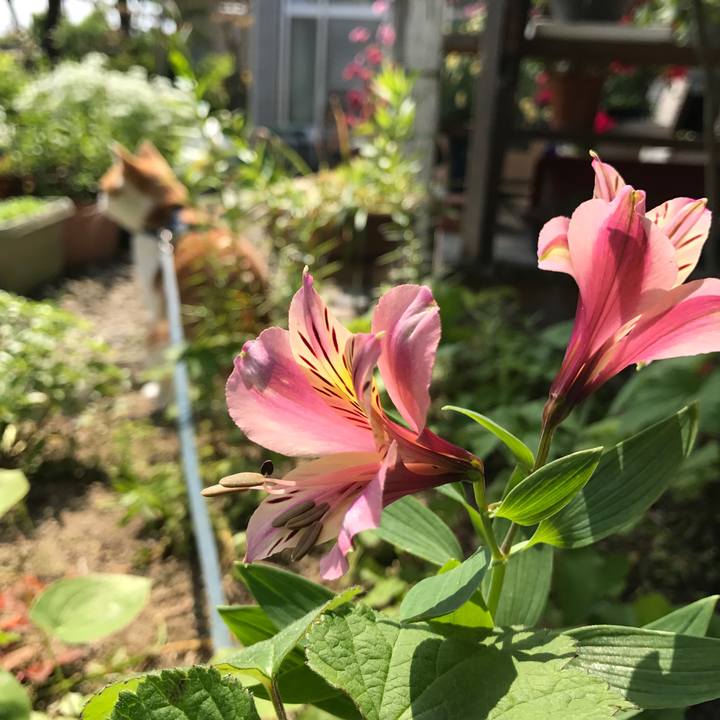 5dc8c701 6360 4972 8bb7 751be8f7f436