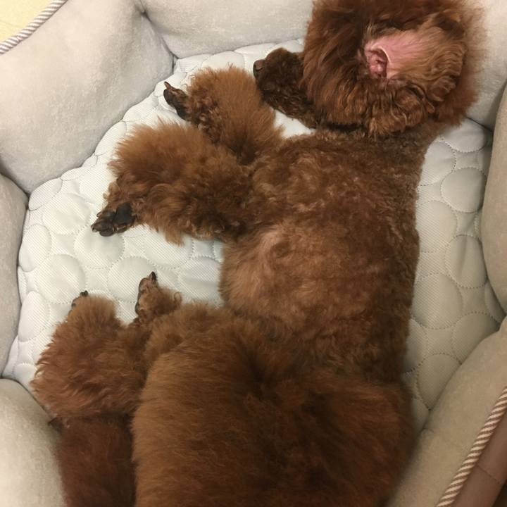 5dc8d284 6ea9 48e8 abe5 e2d6241d015d