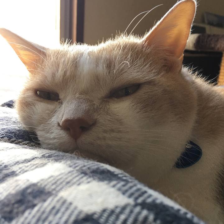 5dc9a321 8eed 4537 b510 a4d09170f141