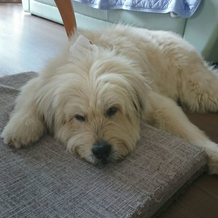 5dc9fd8a 97ba 477a bd84 15d6f92b437c