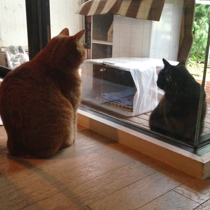 5dcaaa7f 7866 4833 85b1 ae7b86938821