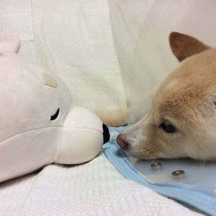 5dcaed33 9f71 4972 9e5e 2b870565a972